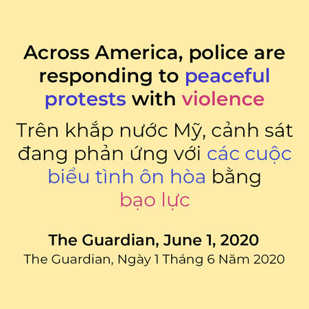 Guardian police violence